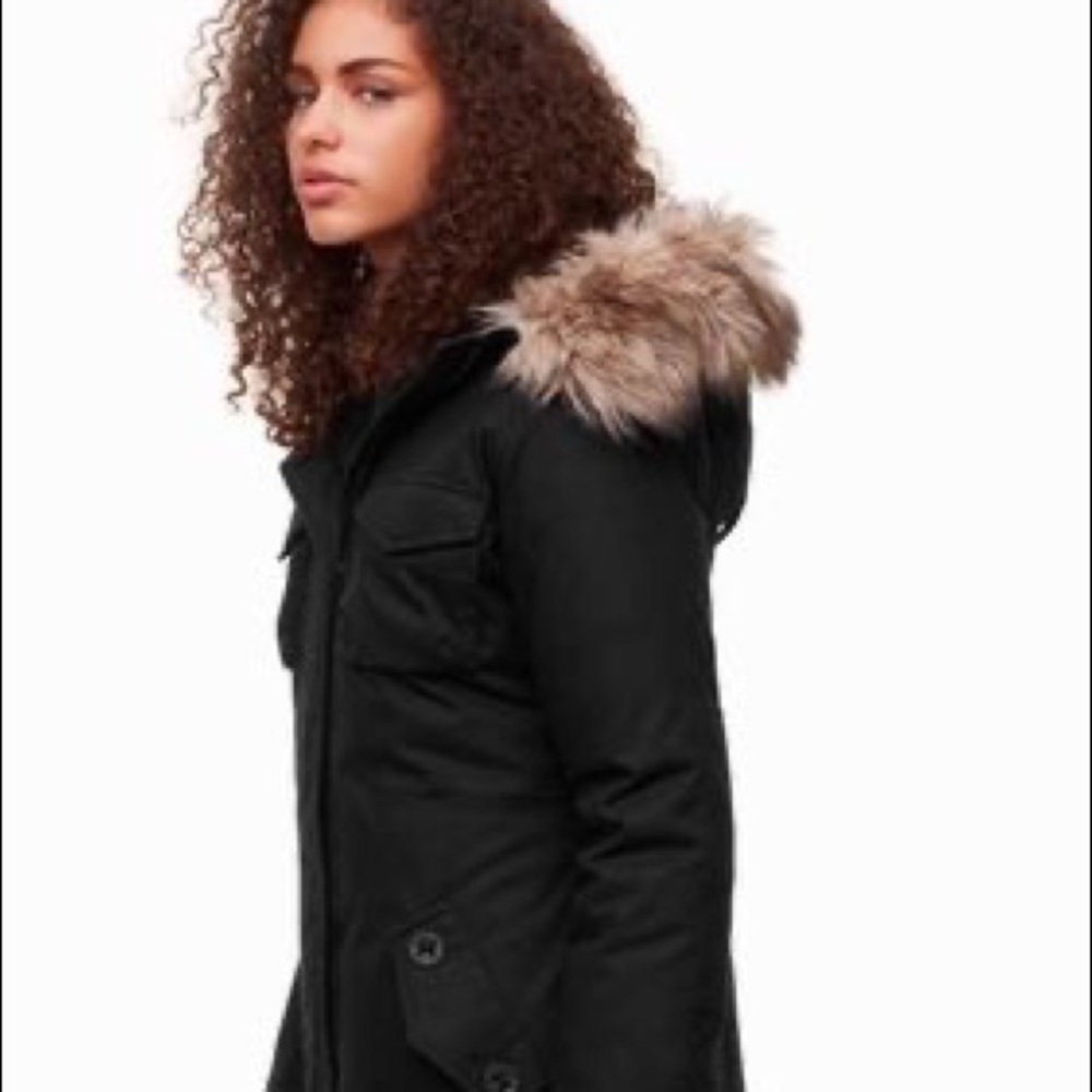 Aritzia Community Paradigm Parka